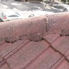 flat roof repairs solihull (12)